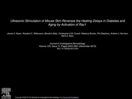 Ultrasonic Stimulation of Mouse Skin Reverses the Healing Delays in Diabetes and Aging by Activation of Rac1  James A. Roper, Rosalind C. Williamson,