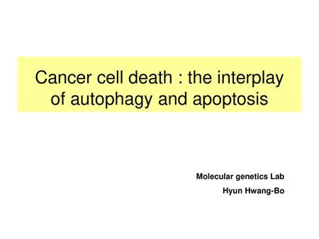 Cancer cell death : the interplay of autophagy and apoptosis