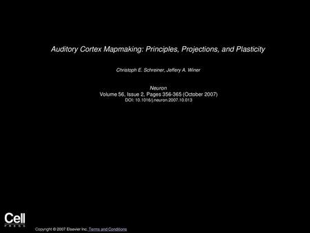 Auditory Cortex Mapmaking: Principles, Projections, and Plasticity