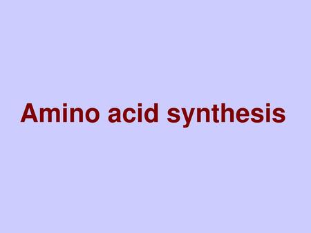 Amino acid synthesis Title slide - amino acid synthesis.