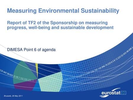 Measuring Environmental Sustainability Report of TF2 of the Sponsorship on measuring progress, well-being and sustainable development DIMESA Point 6.