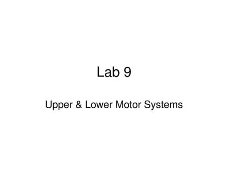 Upper & Lower Motor Systems