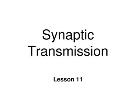 Synaptic Transmission