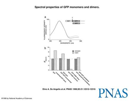 Spectral properties of GFP monomers and dimers.