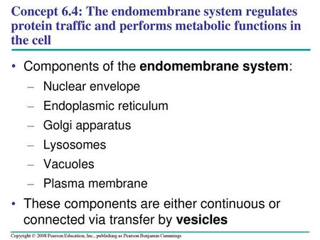 Components of the endomembrane system: