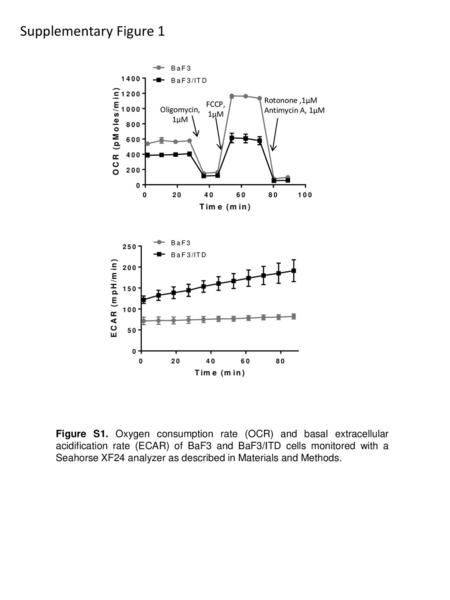 Supplementary Figure 1 Oligomycin, 1µM FCCP,