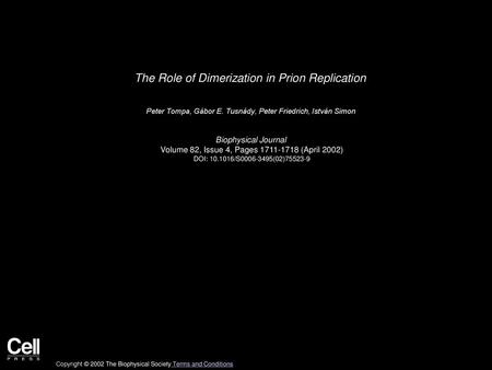 The Role of Dimerization in Prion Replication