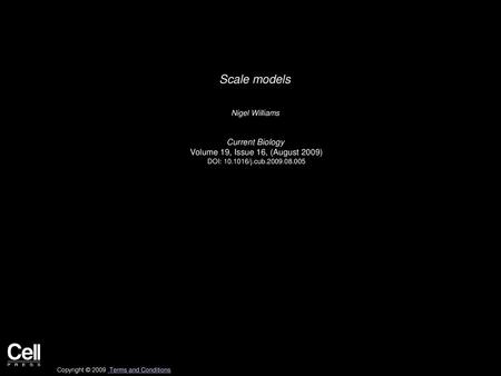 Scale models Current Biology Volume 19, Issue 16, (August 2009)