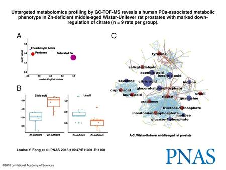 Untargeted metabolomics profiling by GC-TOF-MS reveals a human PCa-associated metabolic phenotype in Zn-deficient middle-aged Wistar-Unilever rat prostates.