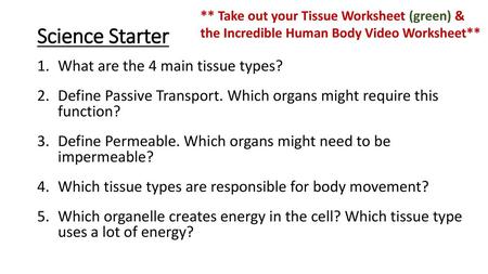 Science Starter What are the 4 main tissue types?