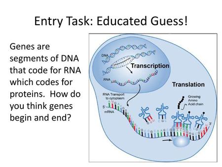 Entry Task: Educated Guess!