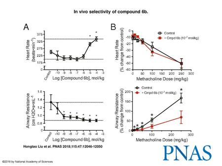 In vivo selectivity of compound 6b.