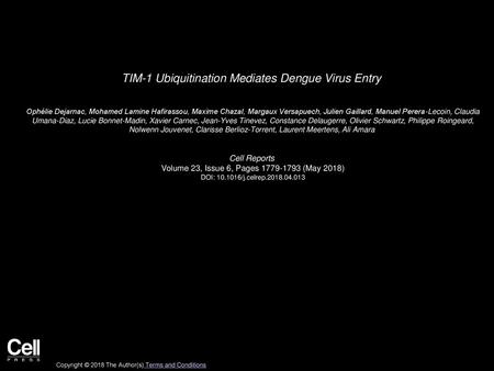 TIM-1 Ubiquitination Mediates Dengue Virus Entry