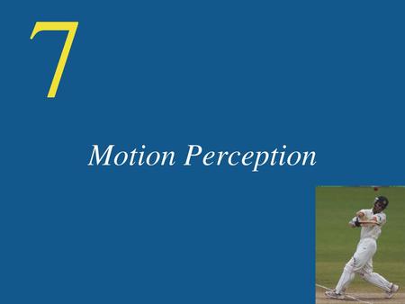 7 Motion Perception.