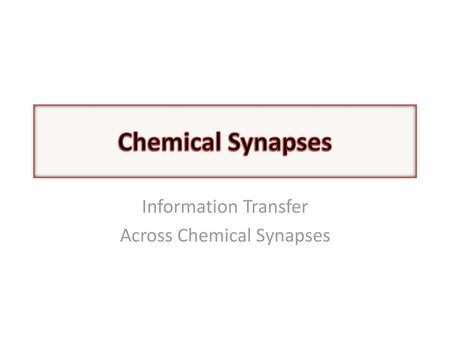 Information Transfer Across Chemical Synapses