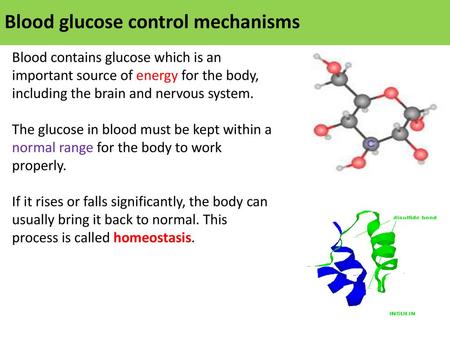 Blood glucose control mechanisms