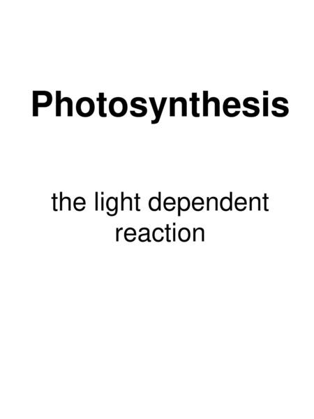 Photosynthesis the light dependent reaction