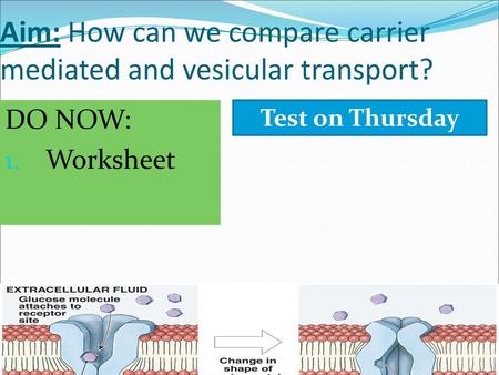 Aim: How can we compare carrier mediated and vesicular transport?