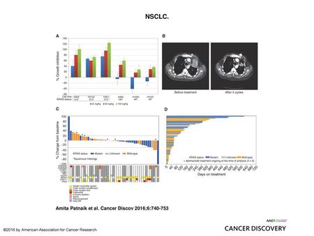 NSCLC. NSCLC. A, antitumor activity of abemaciclib in 4 KRAS-mutant (NCI-H358, NCI-H2122, NCI-H441, NCI-H460) and 2 KRAS wild-type (WT; NCI-H1650, NCI-H1975)