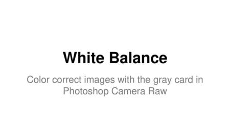 Color correct images with the gray card in Photoshop Camera Raw