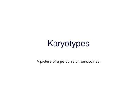 A picture of a person’s chromosomes.