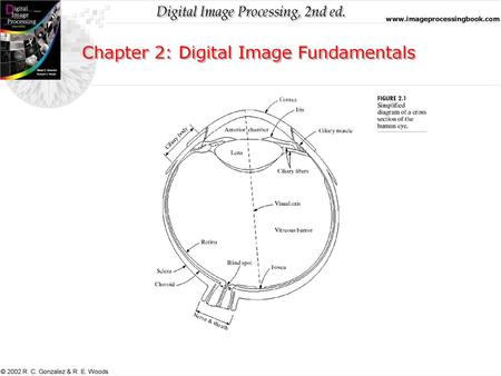 Chapter 2: Digital Image Fundamentals