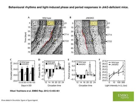 Behavioural rhythms and light‐induced phase and period responses in Jnk3‐deficient mice. Behavioural rhythms and light‐induced phase and period responses.