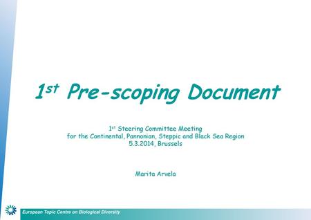 1st Pre-scoping Document