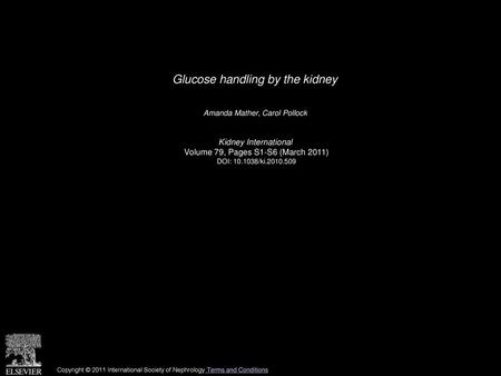 Glucose handling by the kidney