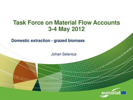 Task Force on Material Flow Accounts 3-4 May 2012