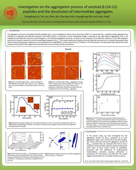 Investigation on the aggregation process of amyloid-β-(16-22) peptides and the dissolution of intermediate aggregates Dongdong Lin, Yin Luo, Shan Wu, Qianqian.