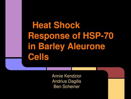 Heat Shock Response of HSP-70 in Barley Aleurone Cells