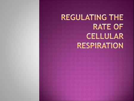 Regulating the rate of Cellular Respiration