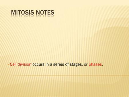 Cell division occurs in a series of stages, or phases.