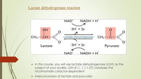 Lactate dehydrogenase reaction