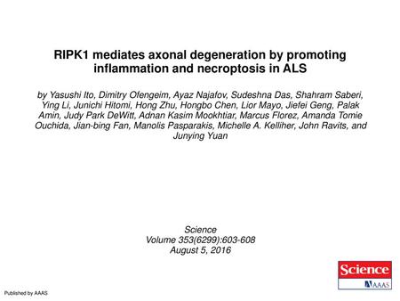 RIPK1 mediates axonal degeneration by promoting inflammation and necroptosis in ALS by Yasushi Ito, Dimitry Ofengeim, Ayaz Najafov, Sudeshna Das, Shahram.