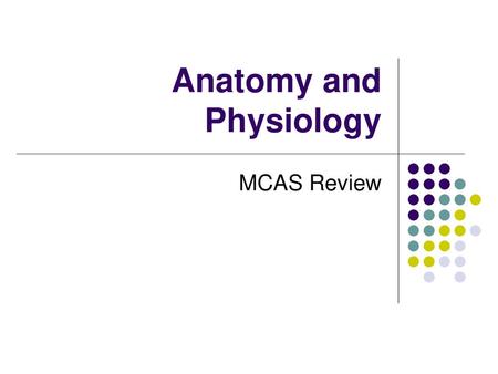 Anatomy and Physiology