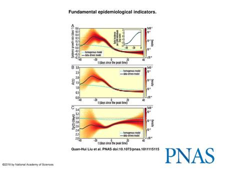 Fundamental epidemiological indicators.