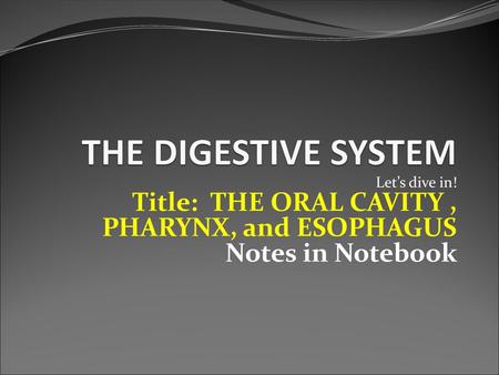 THE DIGESTIVE SYSTEM Title: THE ORAL CAVITY , PHARYNX, and ESOPHAGUS