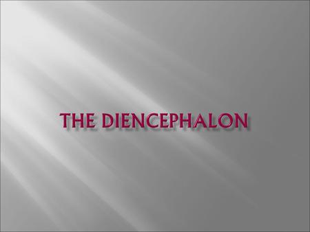 The diencephalon.