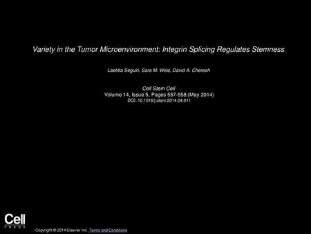 Laetitia Seguin, Sara M. Weis, David A. Cheresh  Cell Stem Cell 