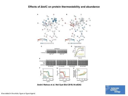 Effects of ΔtolC on protein thermostability and abundance