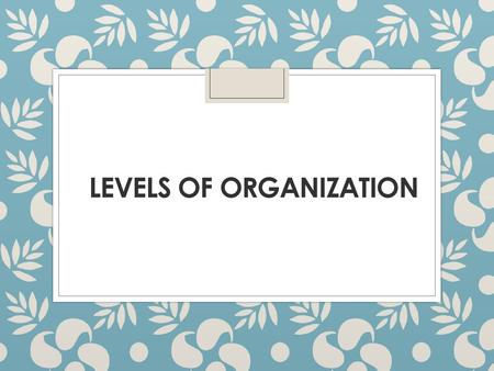 Levels of Organization