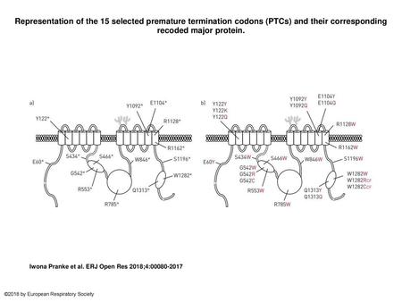 Representation of the 15 selected premature termination codons (PTCs) and their corresponding recoded major protein. Representation of the 15 selected.