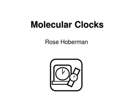 Molecular Clocks Rose Hoberman.