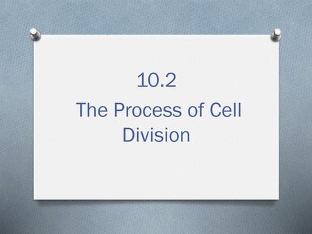 10.2 The Process of Cell Division