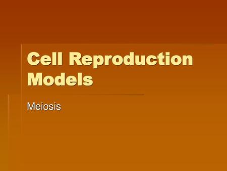 Cell Reproduction Models