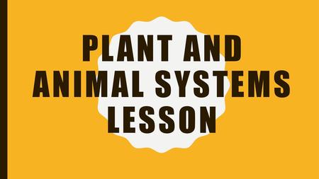 Plant and Animal Systems Lesson