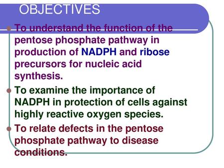 OBJECTIVES To understand the function of the pentose phosphate pathway in production of NADPH and ribose precursors for nucleic acid synthesis. To examine.