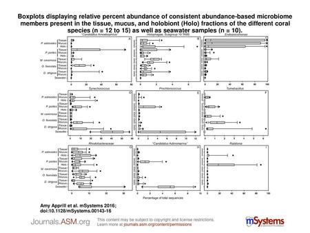 Boxplots displaying relative percent abundance of consistent abundance-based microbiome members present in the tissue, mucus, and holobiont (Holo) fractions.